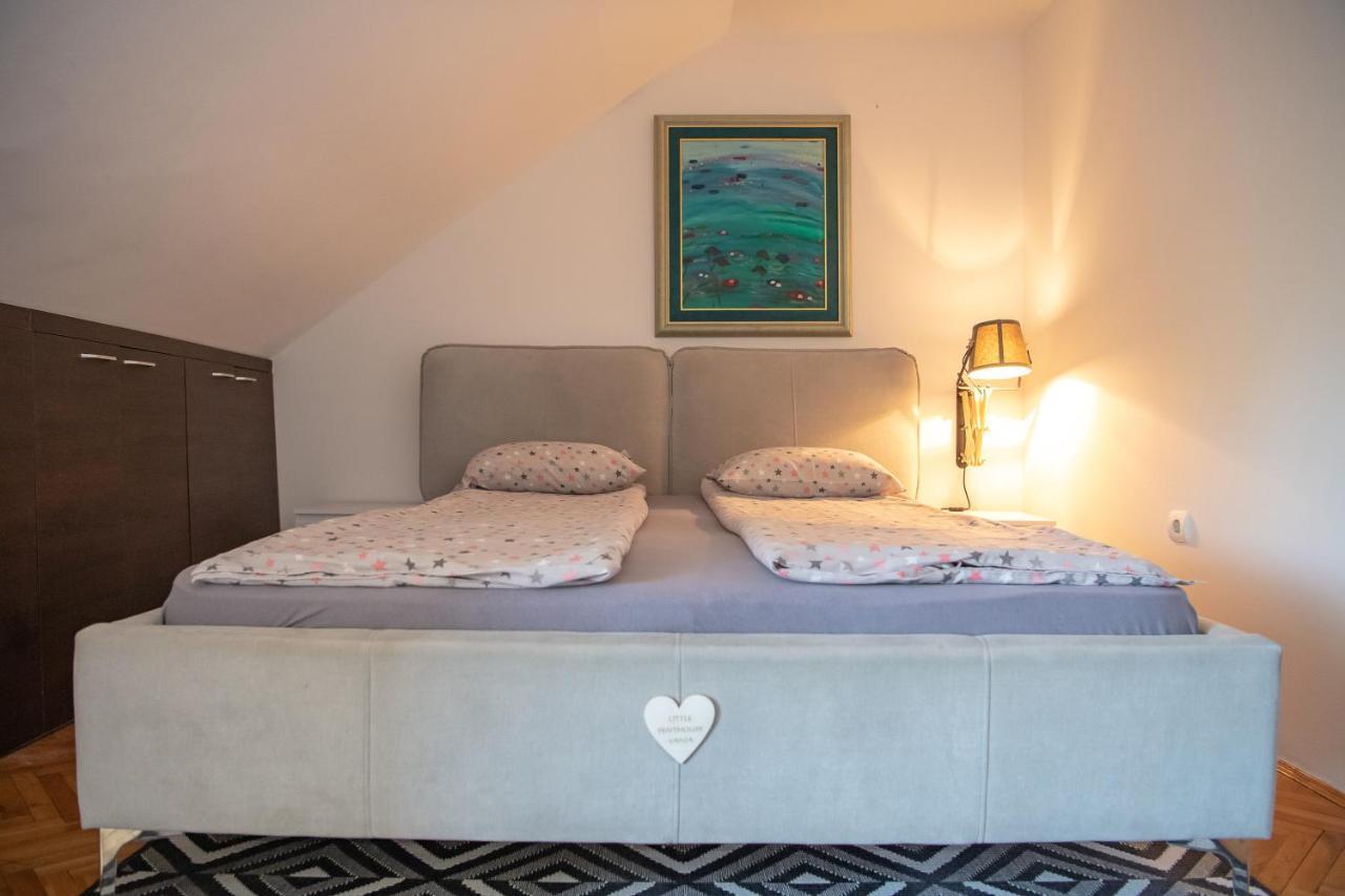 Apartmán Marina Penthouse Novi Sad Exteriér fotografie